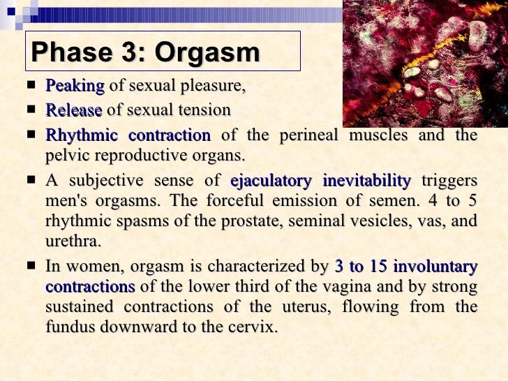 definition of orgasm Site amateur x